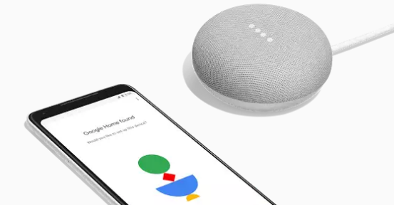 Google Home Mini - Smart Assistant Speaker - Google Home App 